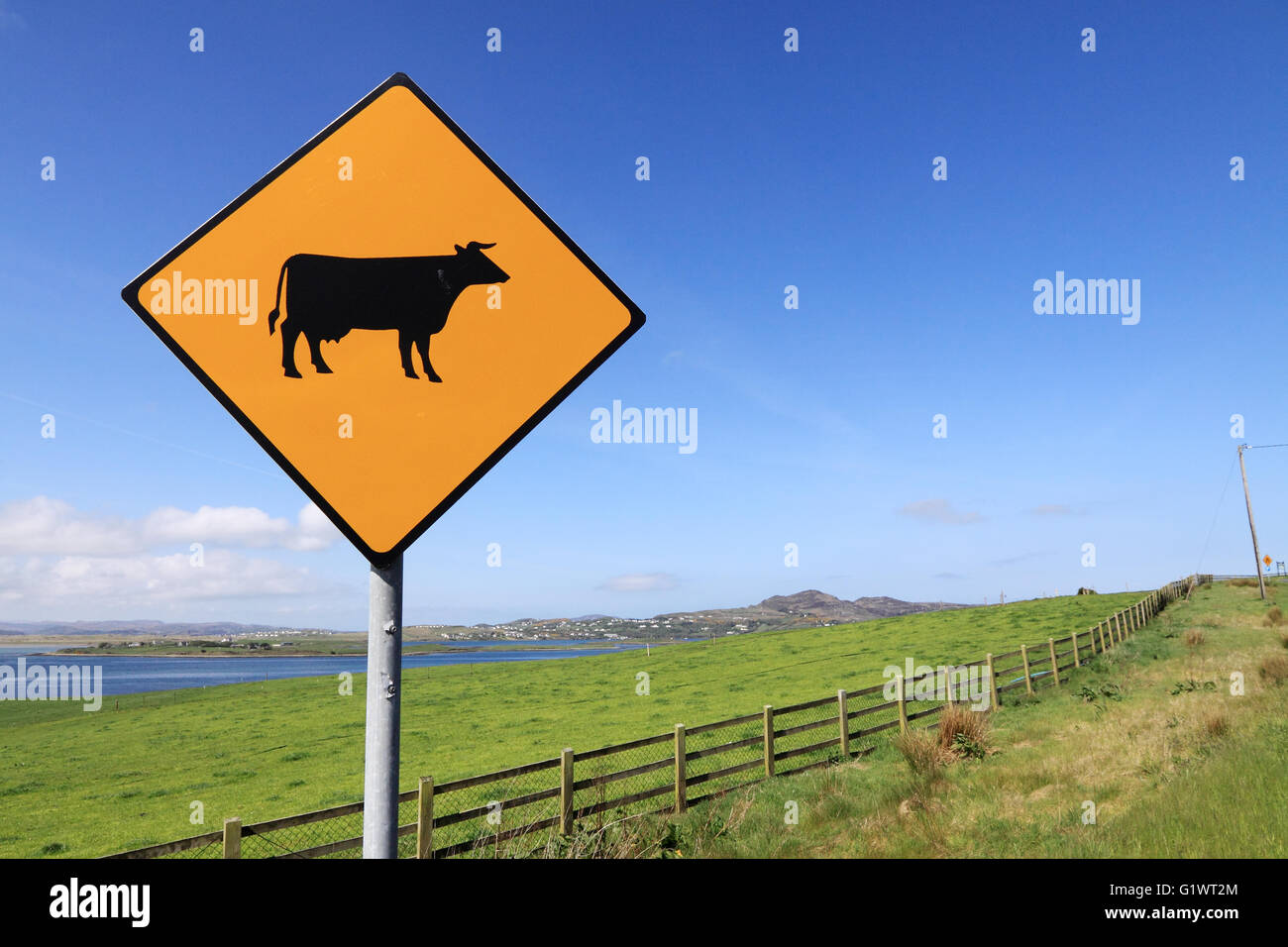 Sign warning of cattle in the road, near Island Roy, Fanad, County Donegal, Ireland Stock Photo