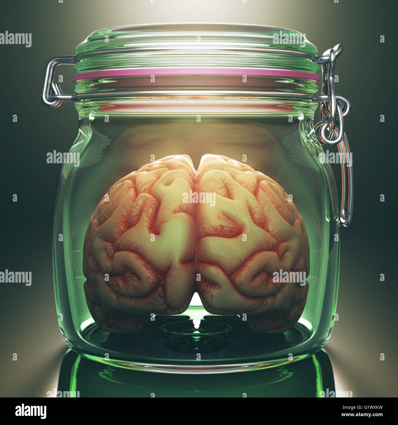Concept image of a brain inside an hermetic glass storage. Clipping path included. Stock Photo