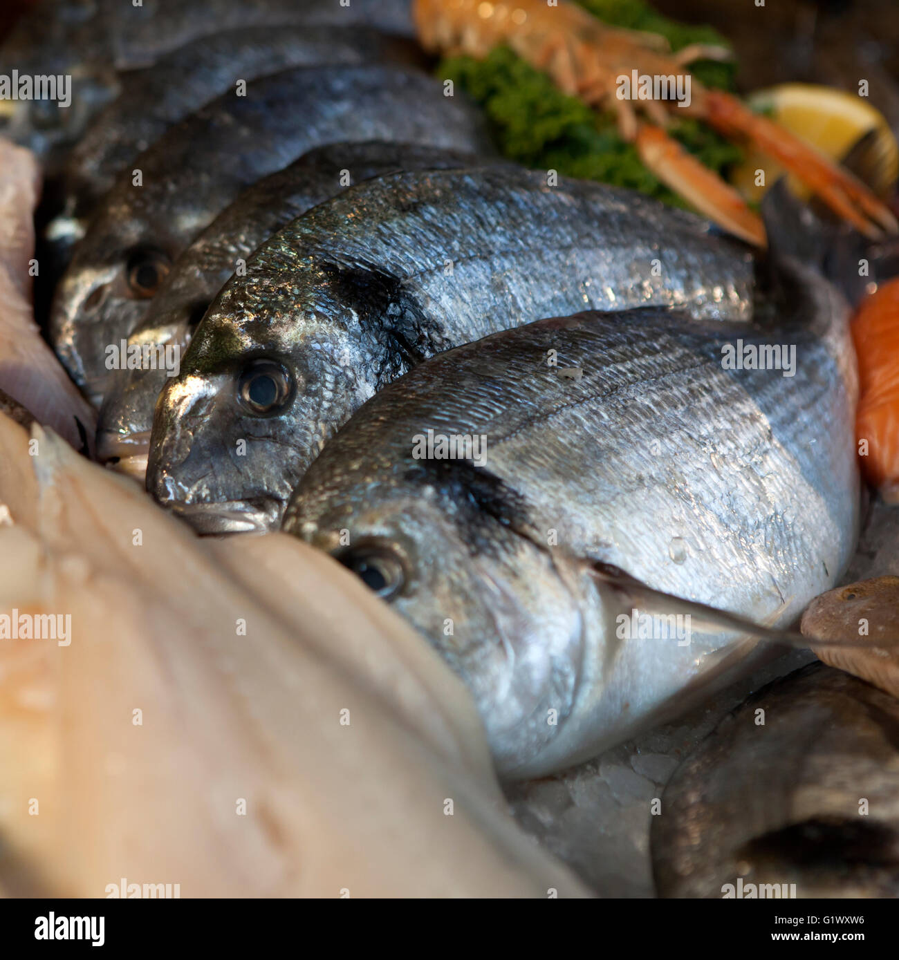 Cooked Catch Catch and cook hi-res stock photography and images - Alamy