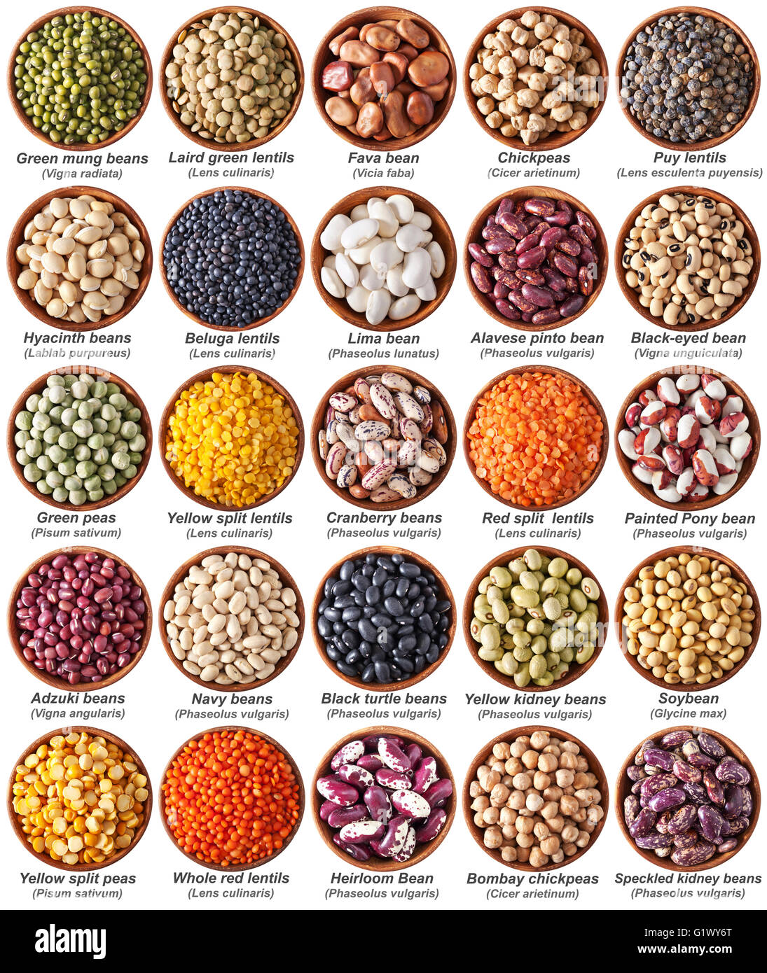 Lima Legume Hi res Stock Photography And Images Alamy Lima Legume Hi res Stock Photography And Images Alamy