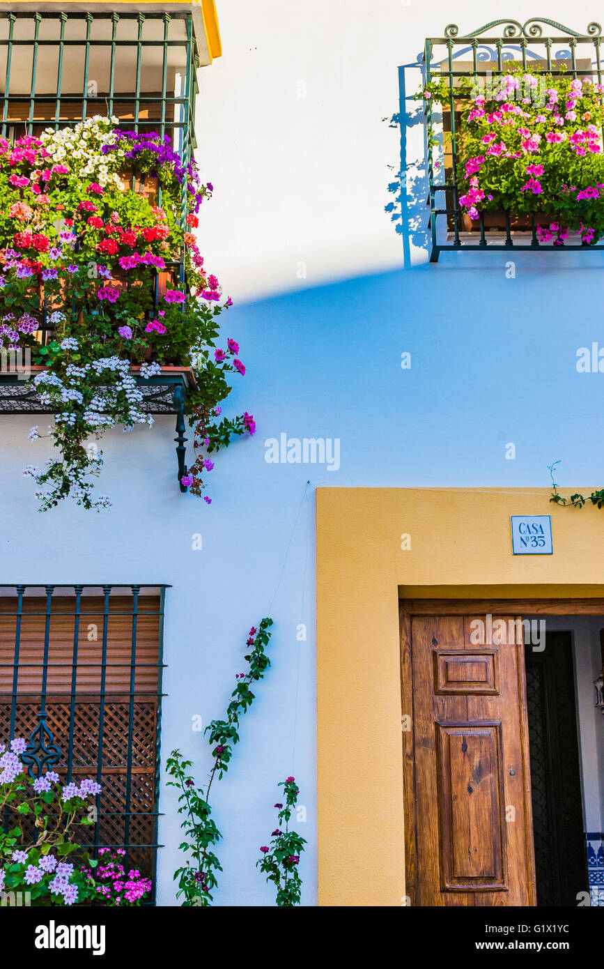 Detail of the Cordovan houses in spring. Córdoba, Andalusia, Spain, Europe Stock Photo