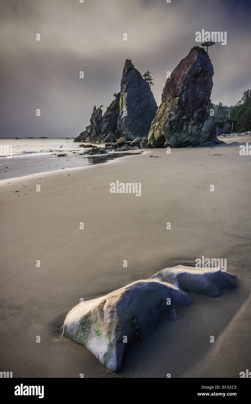 Seastacks at Rialto Beach, Olympic National Park, Washington State, USA Stock Photo