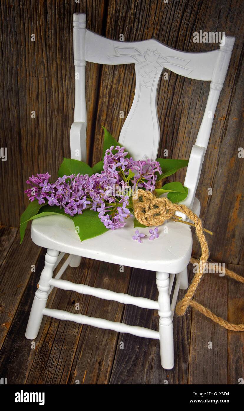 Lilac bouquet with rope Celtic heart knot on white wooden chair. Stock Photo