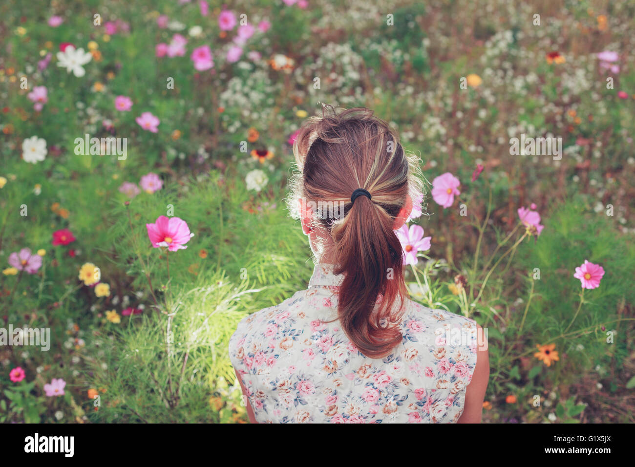 Beautiful woman sitting meadow hi-res stock photography and images - Alamy