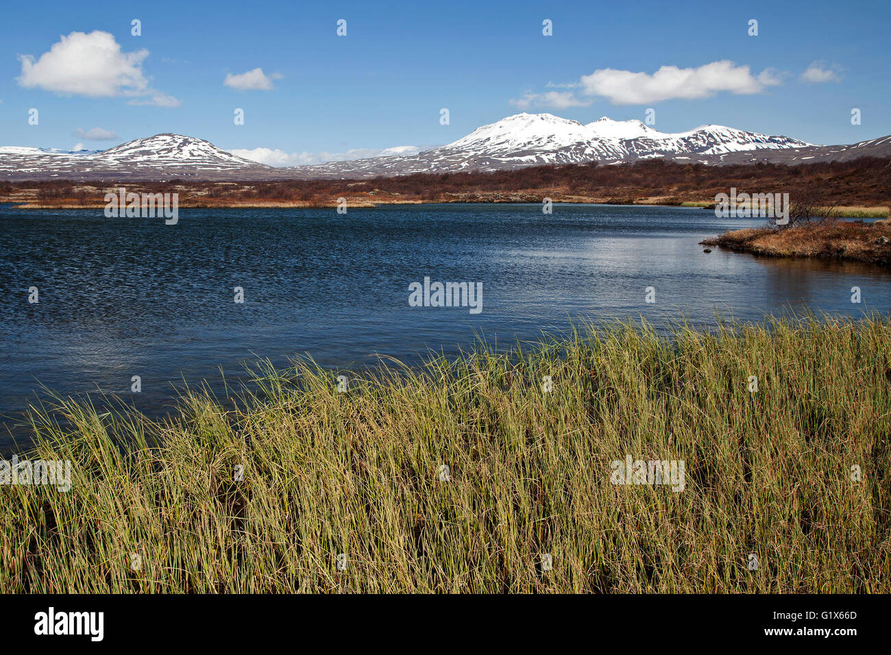 Landscape and Pingvallavatn lake at Thingvellir, Thingvellir National Park, Golden Circle, Iceland Stock Photo