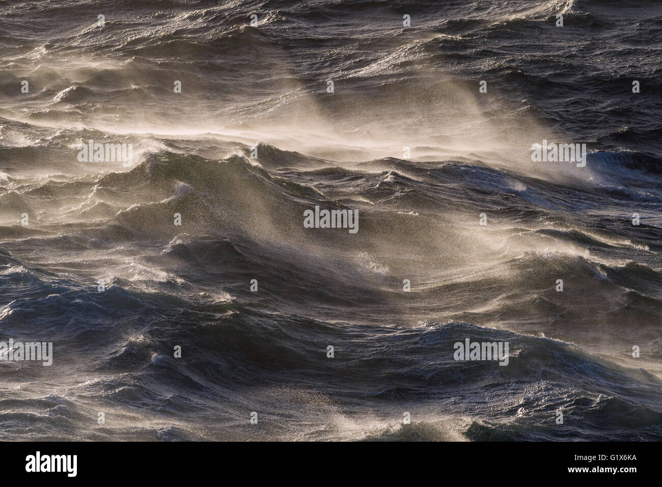 Moderately rough sea, waves with whitecaps, sea surface, North Atlantic, Atlantic Stock Photo
