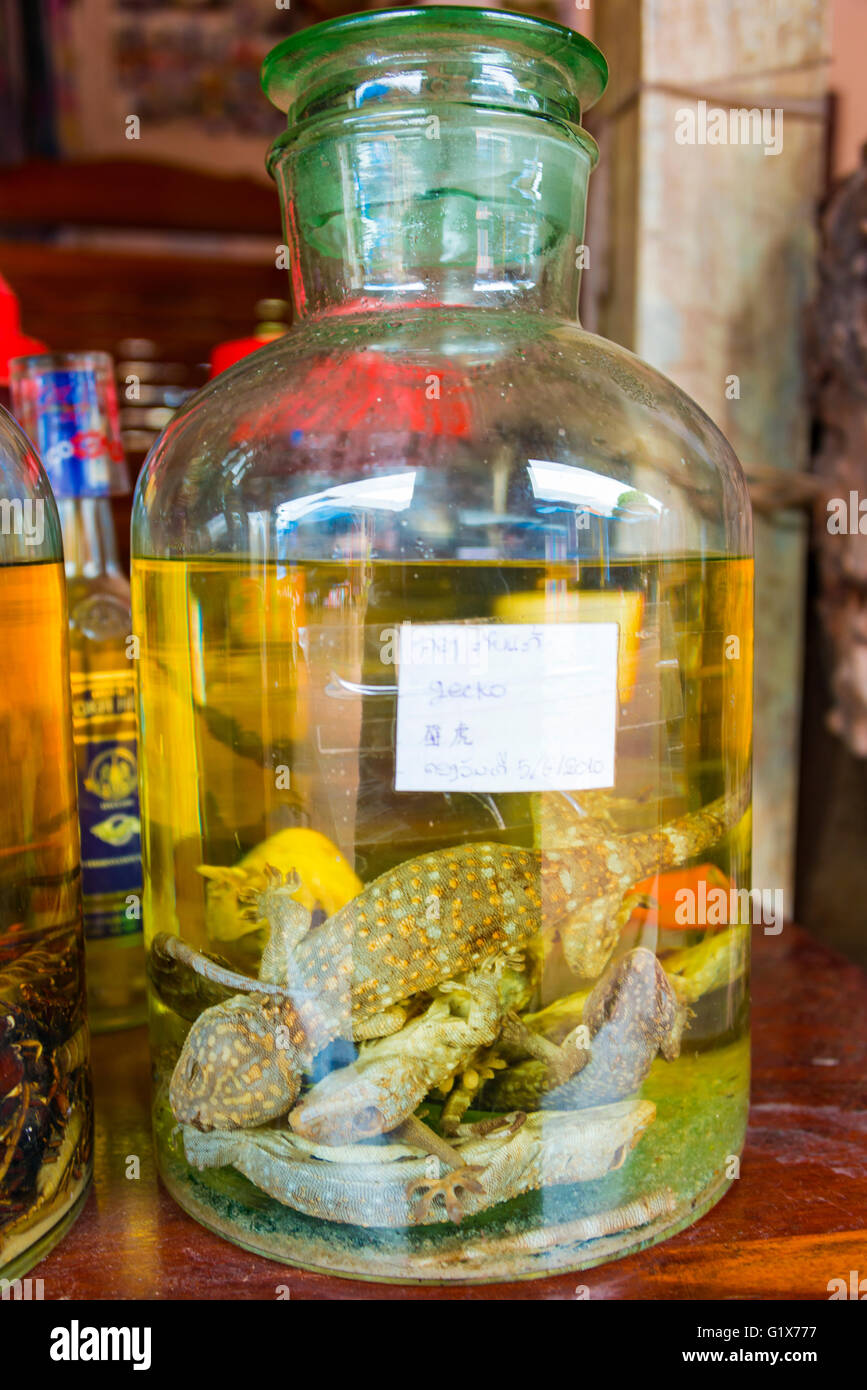 Rice wine with Tokay geckos (Gekko gecko), Sang Ha, Louangphabang, Laos Stock Photo