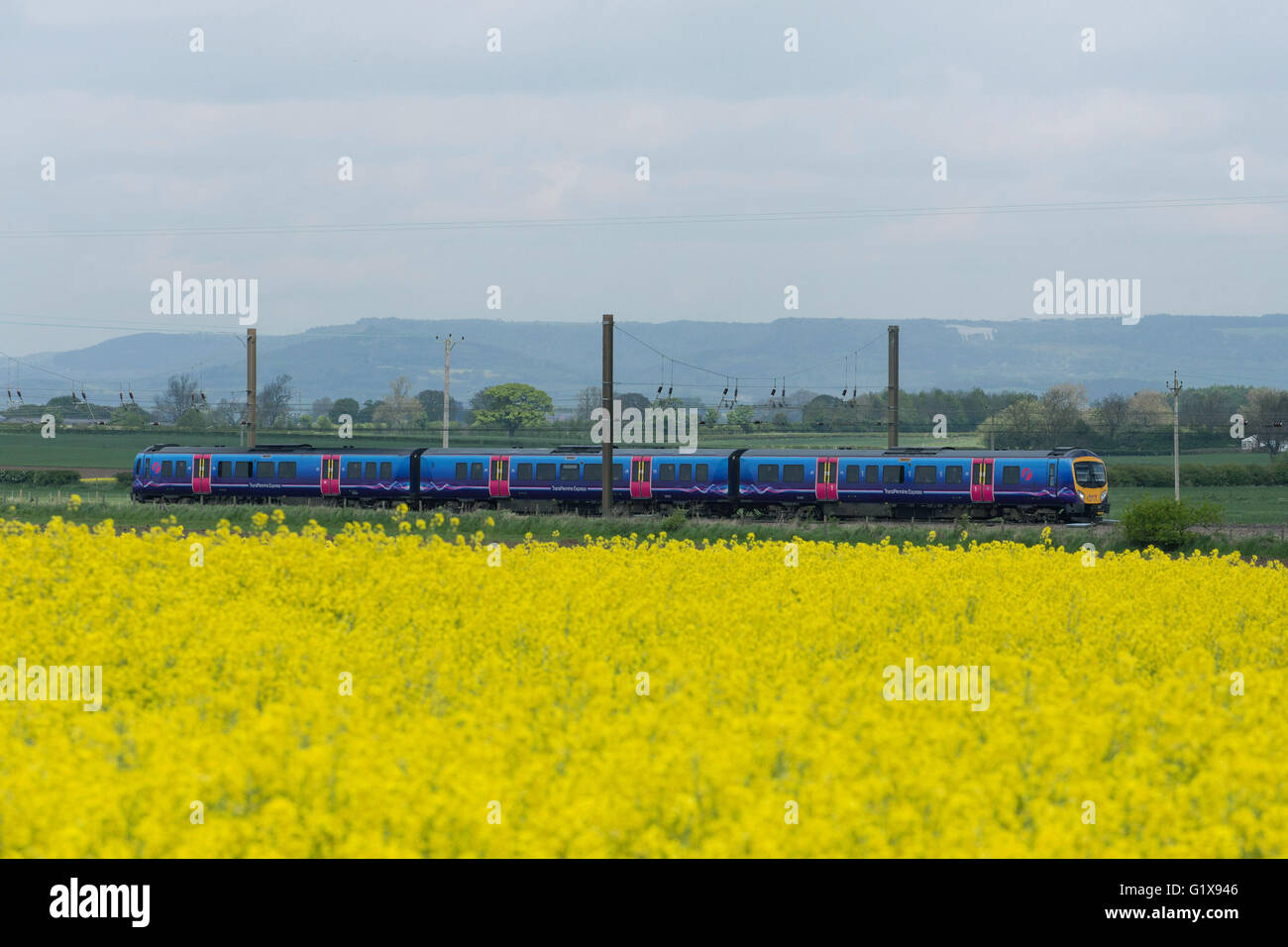Raskelf, North Yorkshire. 17 May 2016. A TransPennine train travels south through fields nearby Raskelf, North Yorkshire. Stock Photo