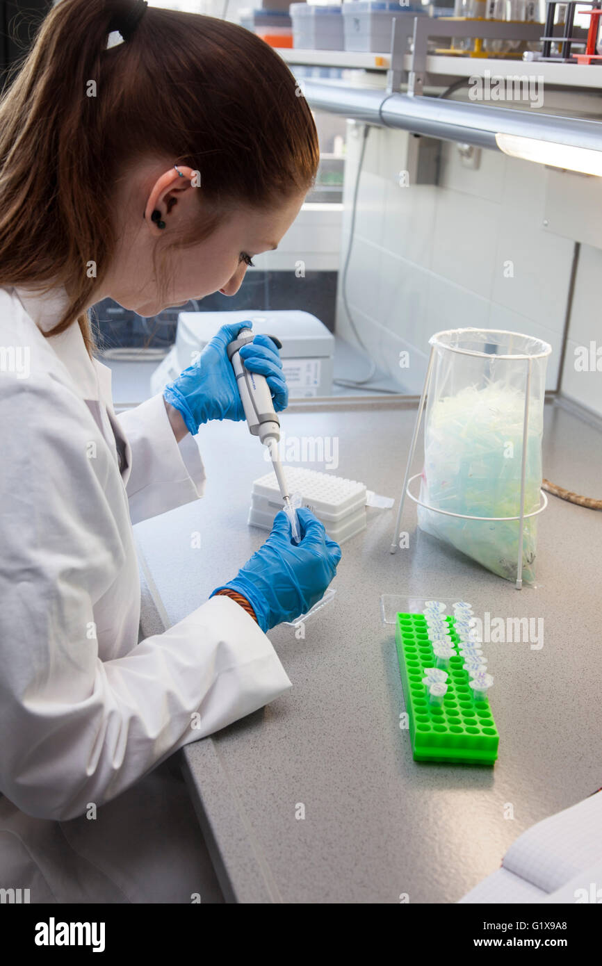 Scientific associate pipetting in genetics lab Stock Photo - Alamy