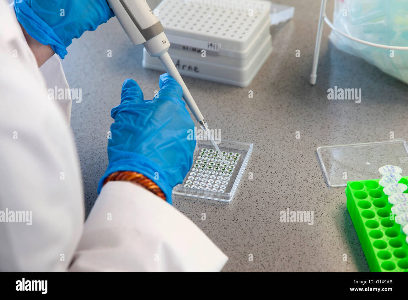 Scientific associate pipetting in lab Stock Photo Alamy