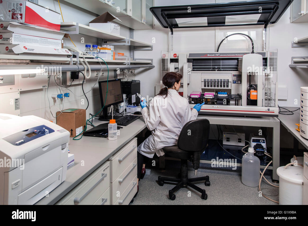 Scientific associate in genetics lab at a pipetting robot Stock Photo ...