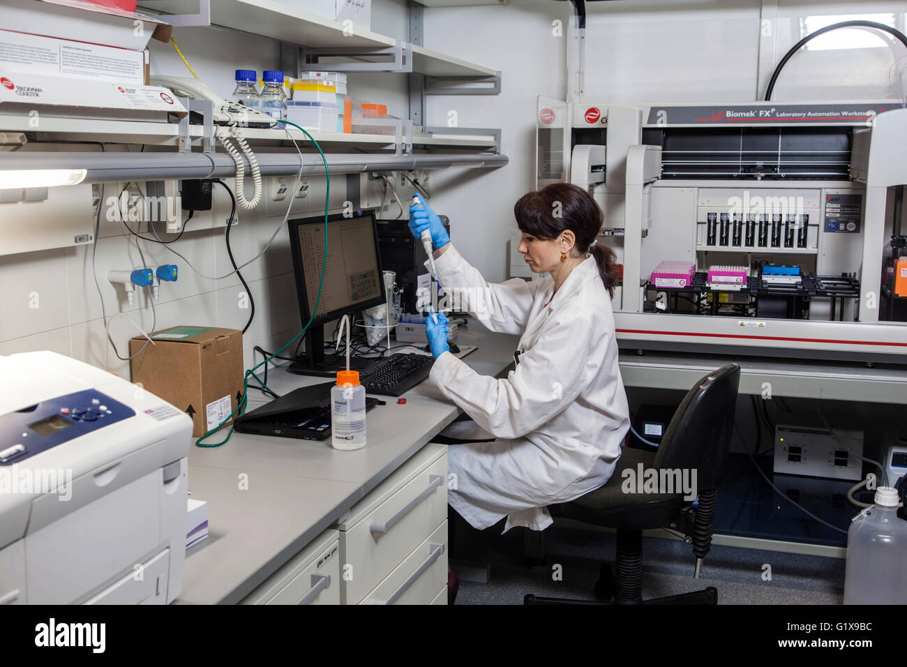 Scientific associate in genetics lab at a pipetting robot Stock Photo ...
