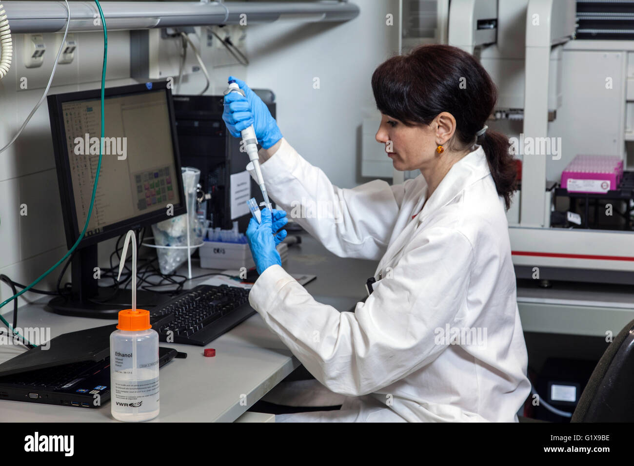 Scientific associate in genetics lab at a pipetting robot Stock Photo ...
