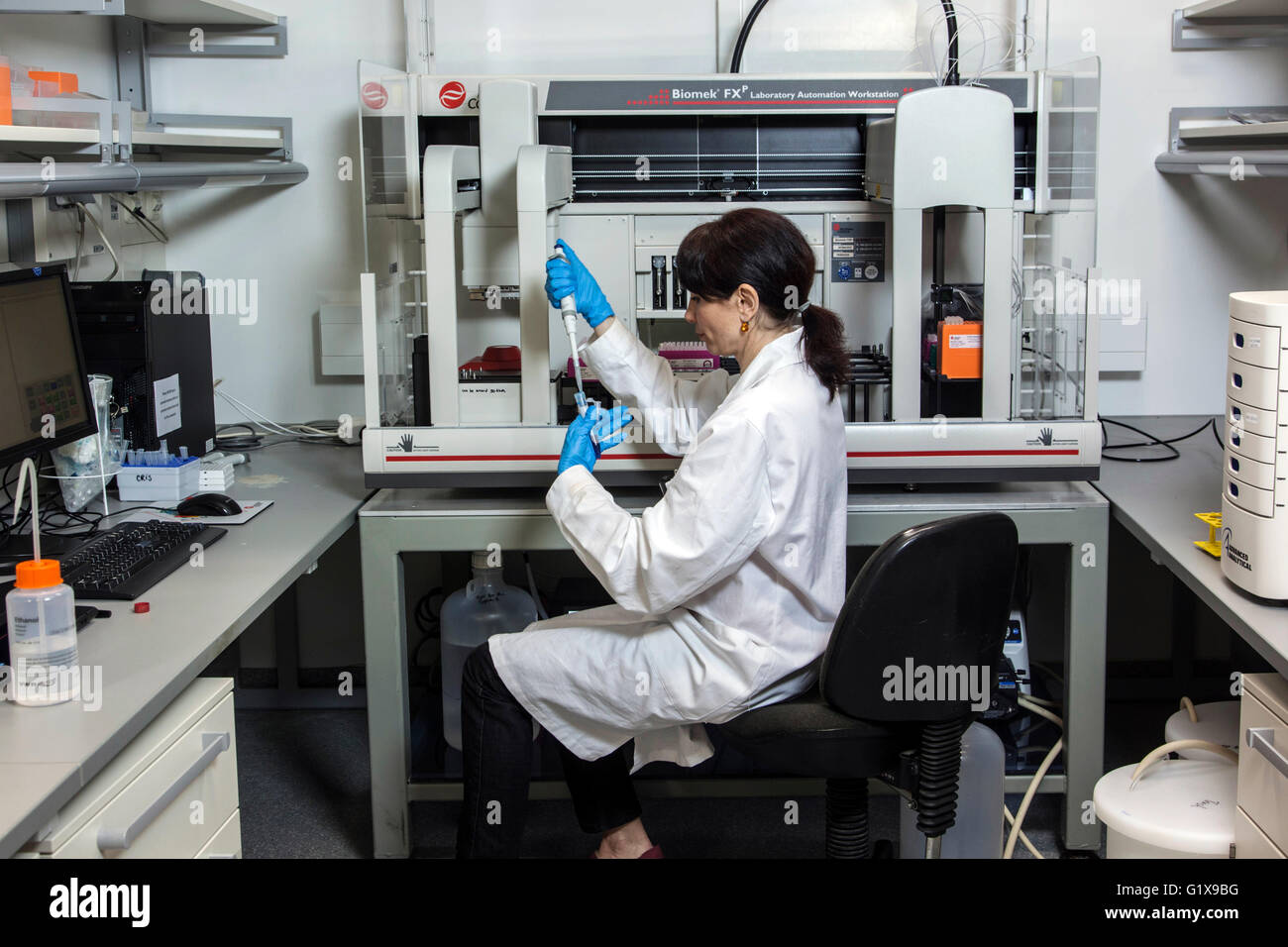 Scientific associate in genetics lab at a pipetting robot Stock Photo ...