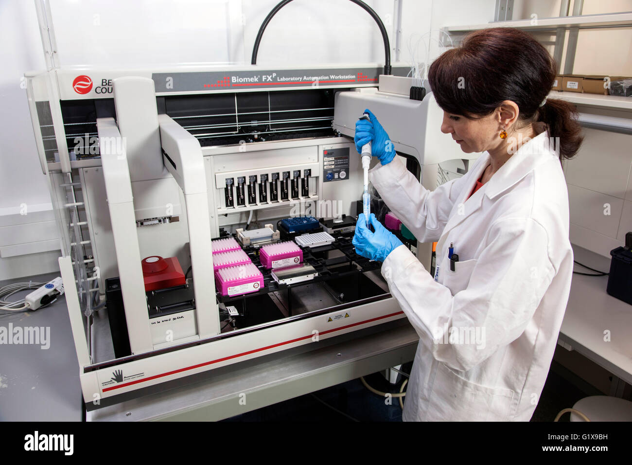 Scientific associate in genetics lab at a pipetting robot Stock Photo ...