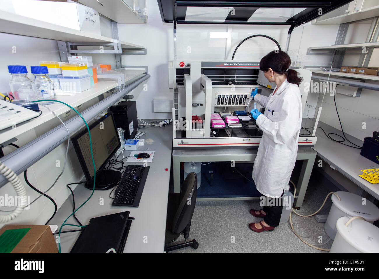 Scientific associate in genetics lab at a pipetting robot Stock Photo ...