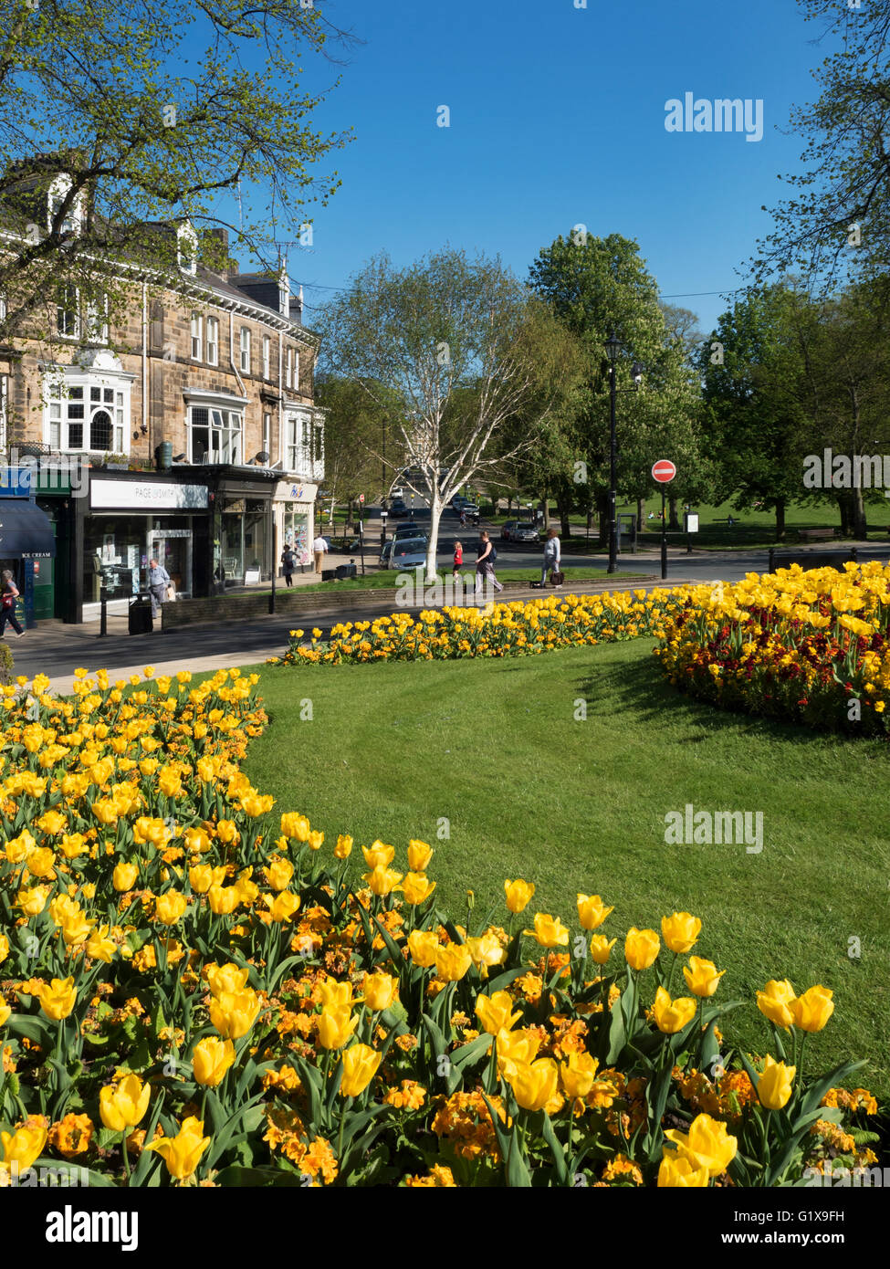 Spring Flowers at the Crown Roundabout in the Montpellier Quarter