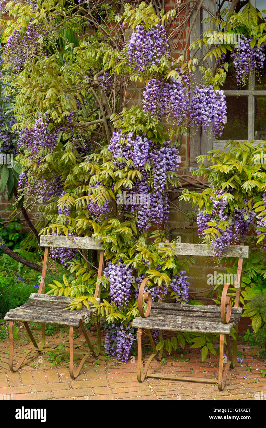 blumenwiese saatgut niedrig Artenreiches Saatgut – Blumenwiese mit heimischen Arten – WildLand main image 0