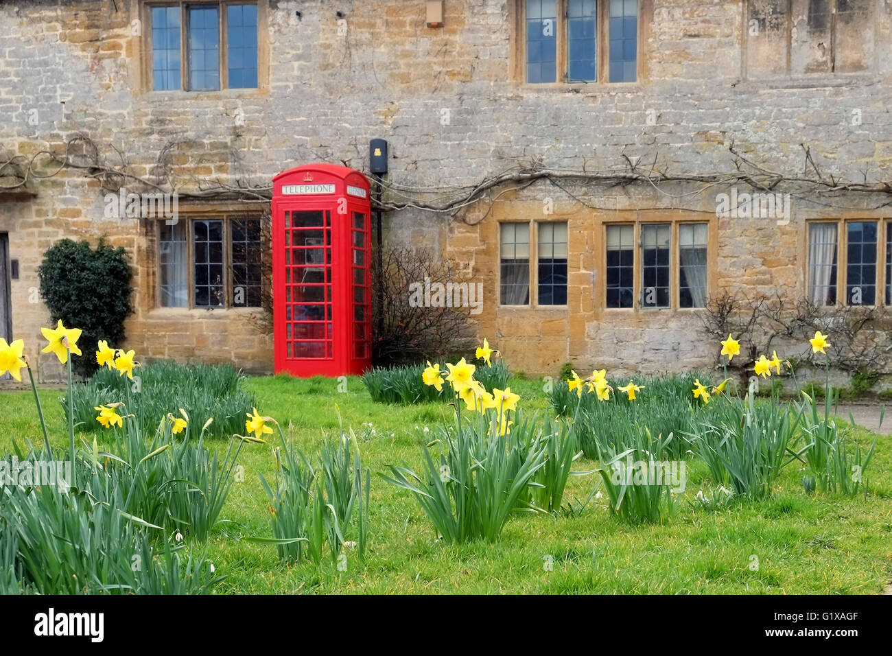 Red english telephone box and daffodils, Montacute, Somerset, England, UK. Stock Photo