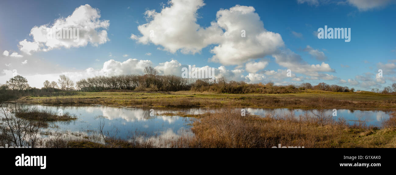 Moist dunes valley panorama. Dune lake in the inland dunes under a blue, white clouded sky at Castricum, the Netherlands Stock Photo