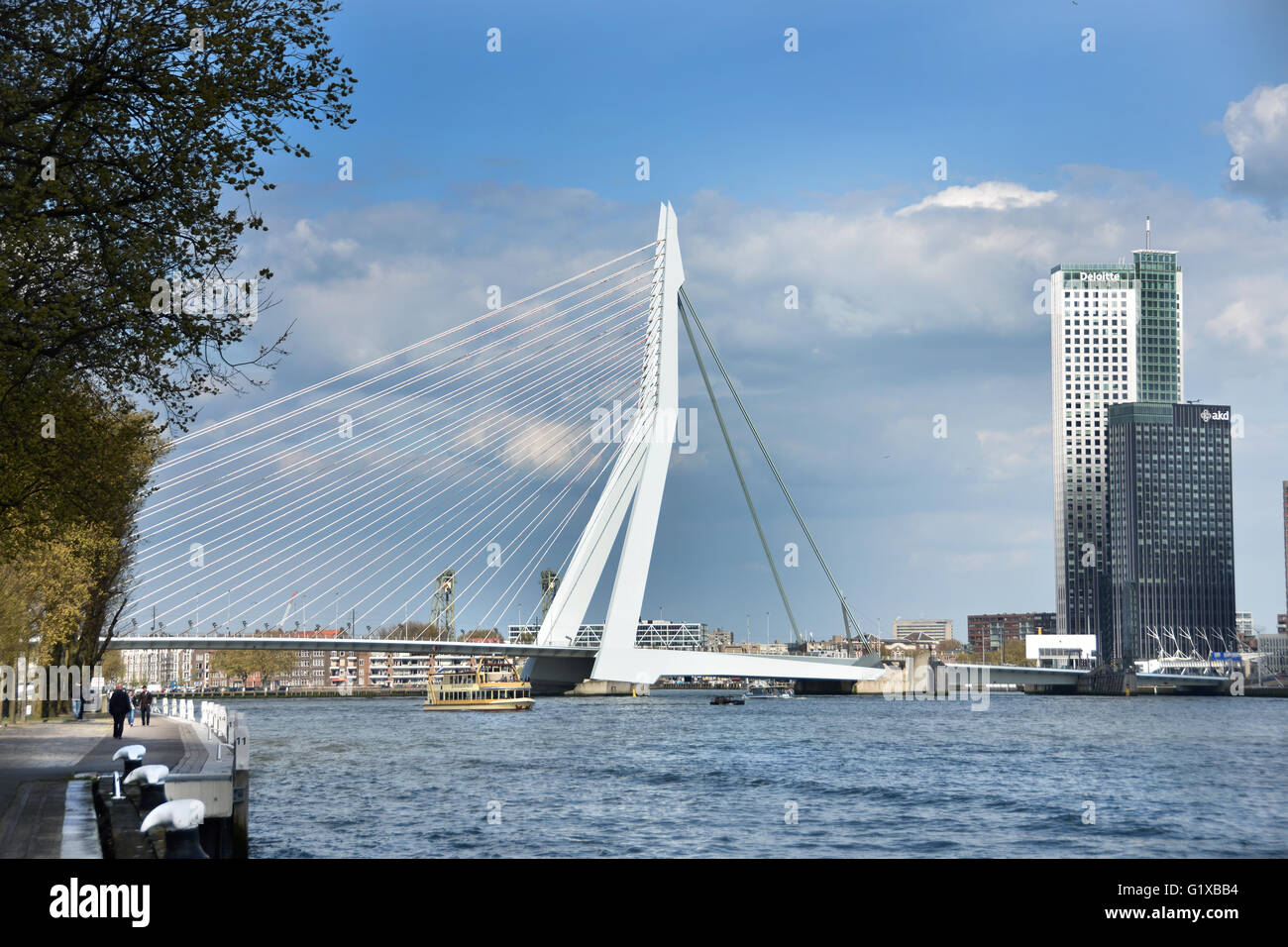 World Port Center ( Kop van Zuid ) Montevideo Rotterdam Netherlands Dutch ( New Maas River Erasmus Bridge Swan ) Stock Photo