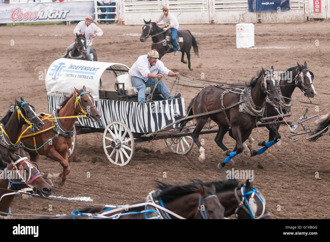 Chuckwagon racing, Strathmore Heritage Days, Rodeo, Strathmore, Alberta