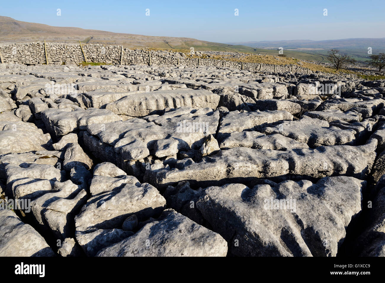 Limestone paving on Scales Moor above Ingleton in West Yorkshire Stock