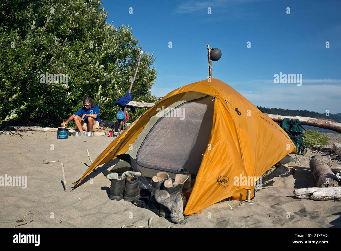 WASHINGTON - Campsite on beach at Toleak Point located on a wilderness
