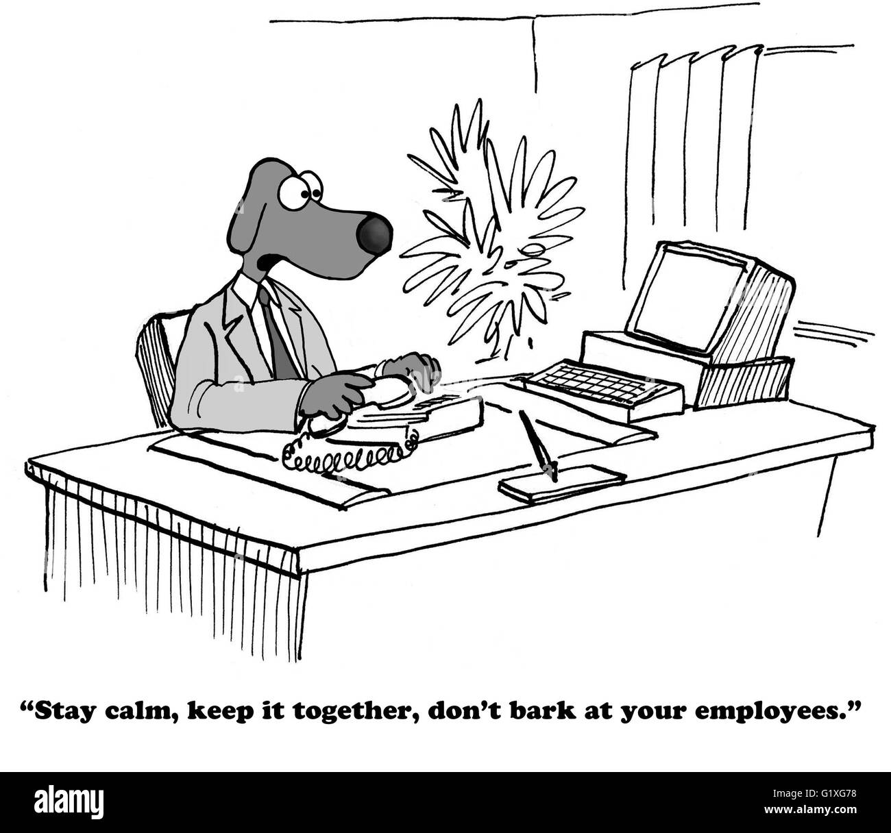 business leadership cartoons