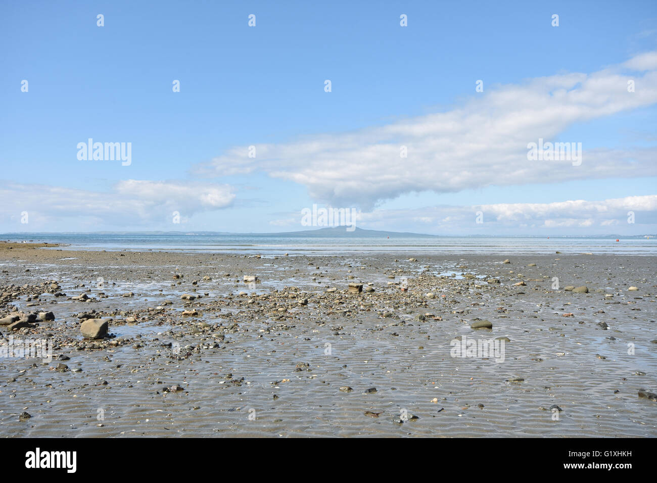 Browns Bay at low tide Stock Photo Alamy