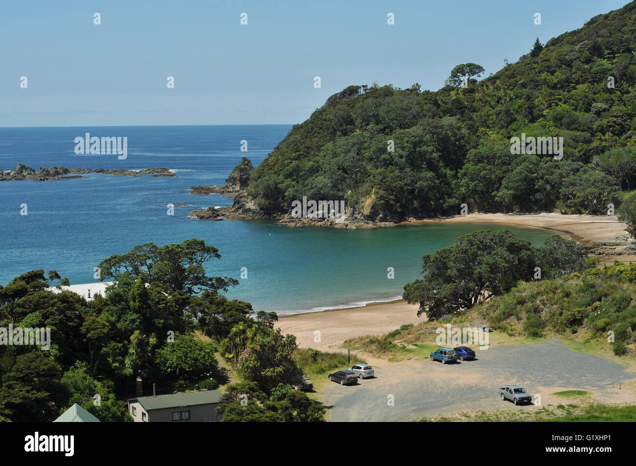 Little Bay on Coromandel Peninsula in New Zealand Stock Photo Alamy