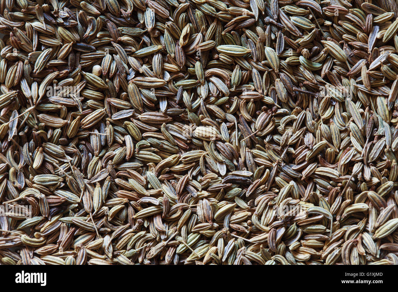fennel seeds background Stock Photo