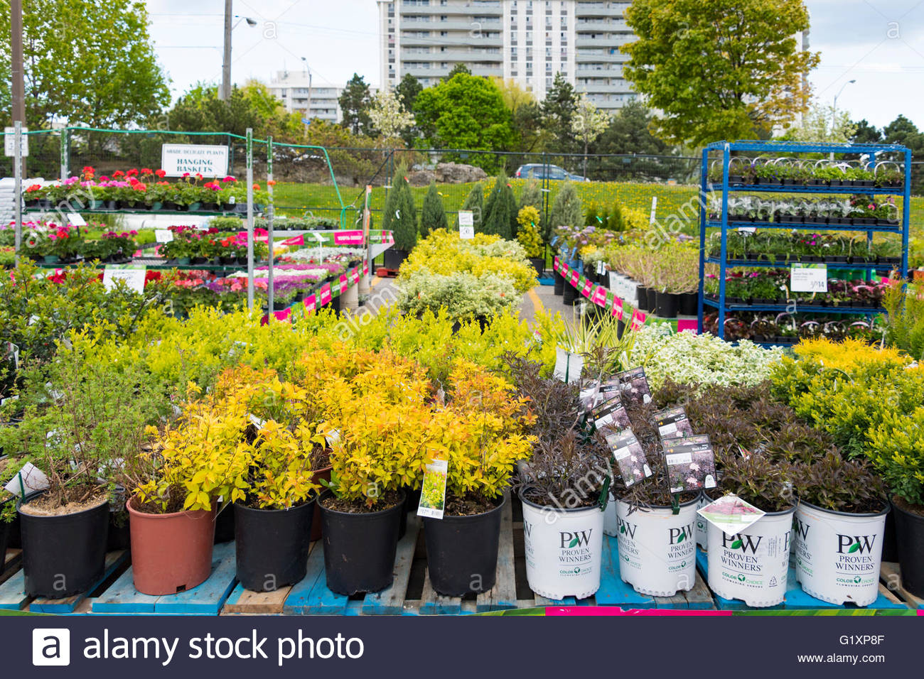 Gardening Store Toronto