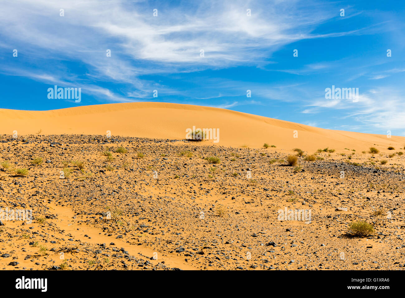 sand dune Sahara desert Stock Photo - Alamy