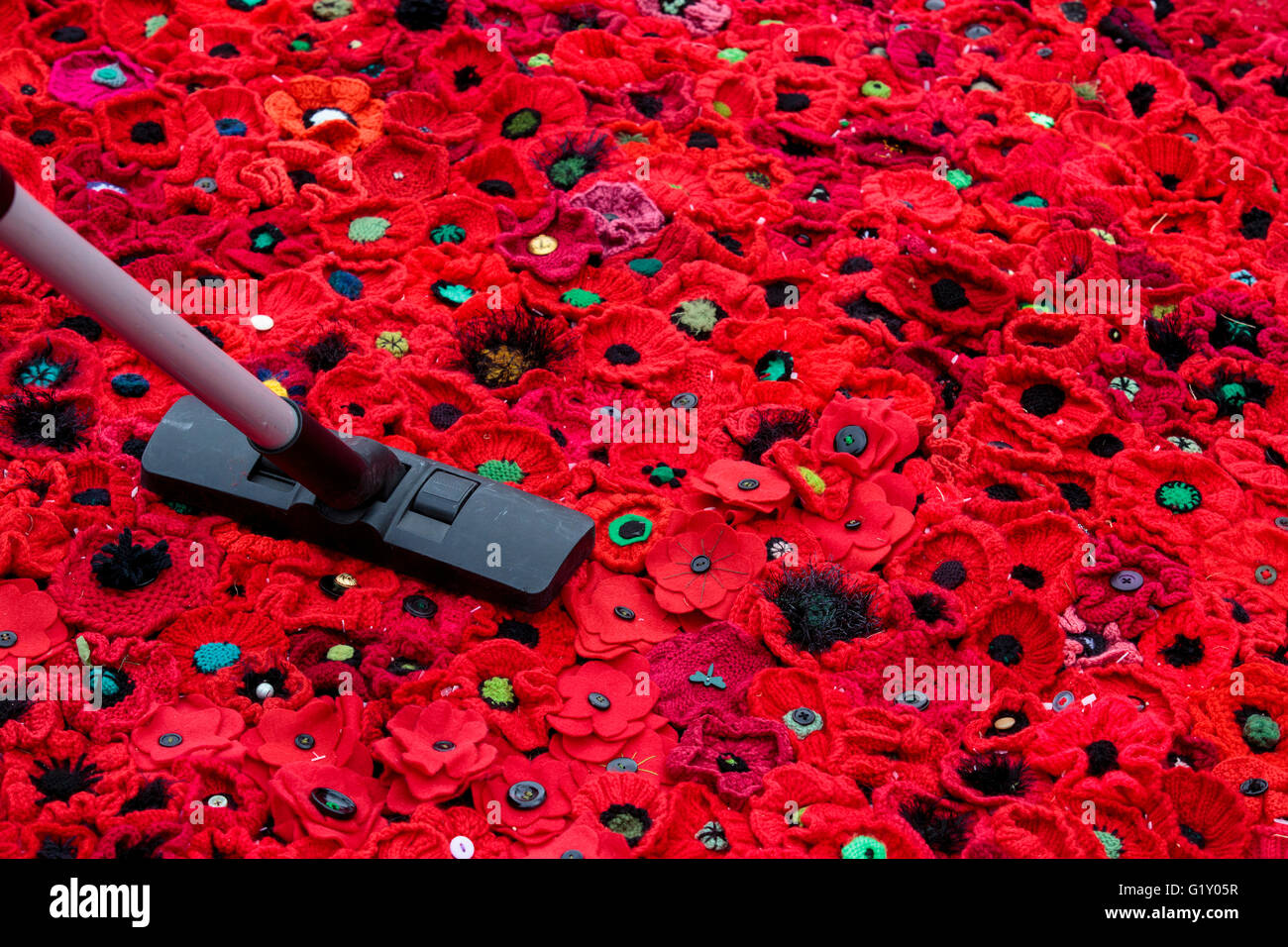 London, UK. 20 May 2016. Volunteers prepare the 5000 Poppies Project at RHS Chelsea Flower Show. The poppy display honours all servicemen and women who have fought across all wars, conflicts and peacekeeping operations over the last 100 years. More than 300,000 handcrafted poppies were made by 50,000 contributors across the globe . Founded by Verena Tucker and Sara Davies, the handcrafted poppies raise funds for the Royal British Legion Poppy Appeal. The display will be in place for the duration of the 2016 Chelsea Flower Show. Credit:  Vibrant Pictures/Alamy Live News Stock Photo
