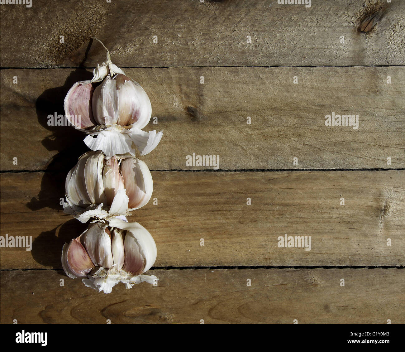 September 28, 2014 - SanlÃºCar De Barrameda, Cadiz, Spain - Picture about garlic cloves.Imagen sobre dientes de ajo © Elisabeth Buzon Alvarez/ZUMA Wire/Alamy Live News Stock Photo