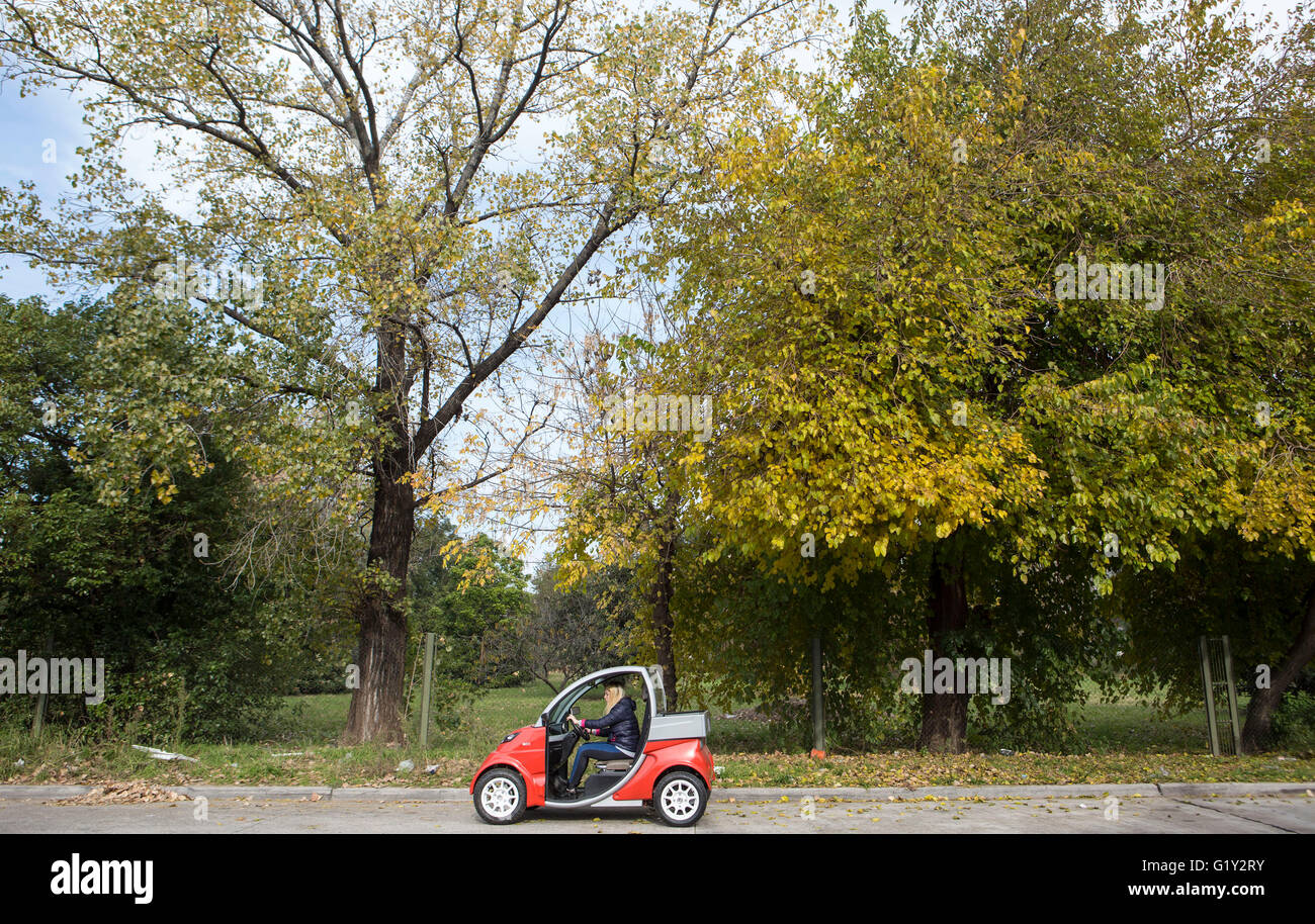 Luzuriaga High Resolution Stock Photography And Images Alamy