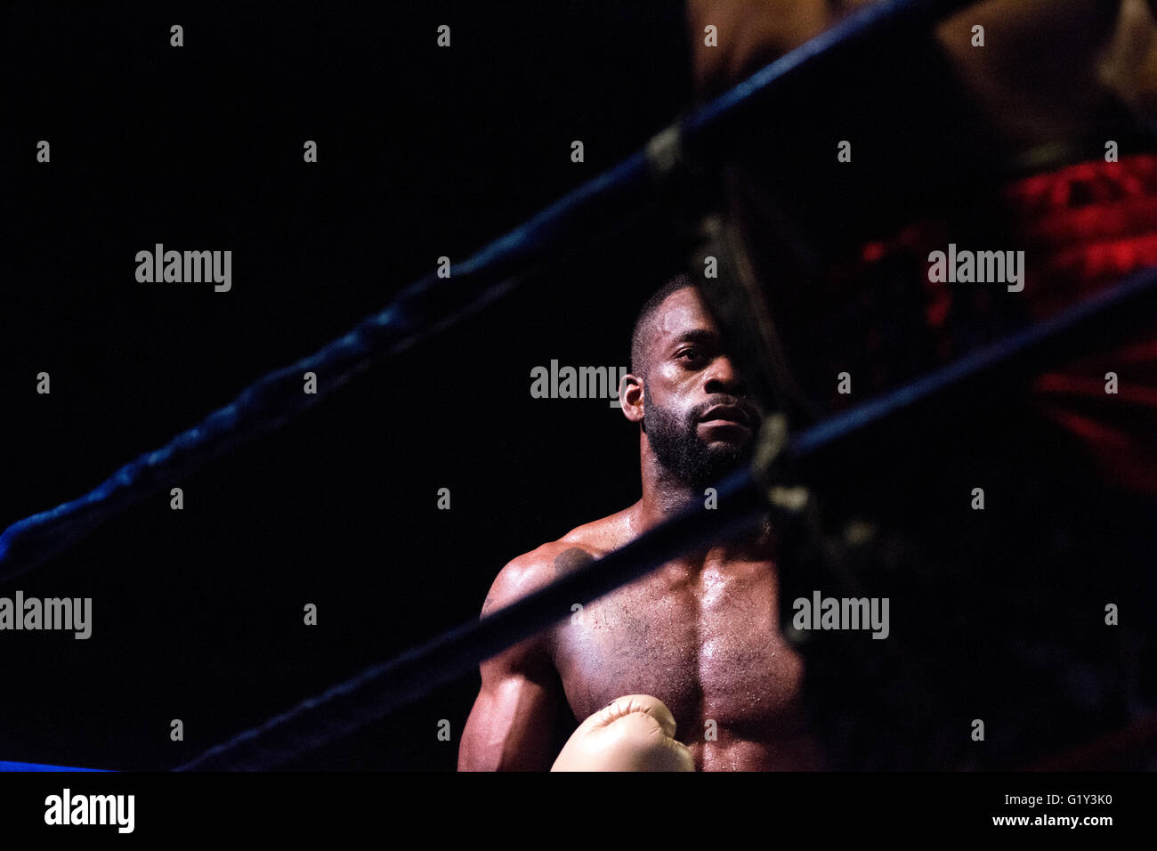 Gijon, Spain. 21st May, 2016. Ismael Bee during the second boxing match against Jony Viña of the fight night of Spanish national featherweight boxing championships at Sports Center on May 21, 2016 in Gijon, Spain. Credit: David Gato/Alamy Live News Stock Photo
