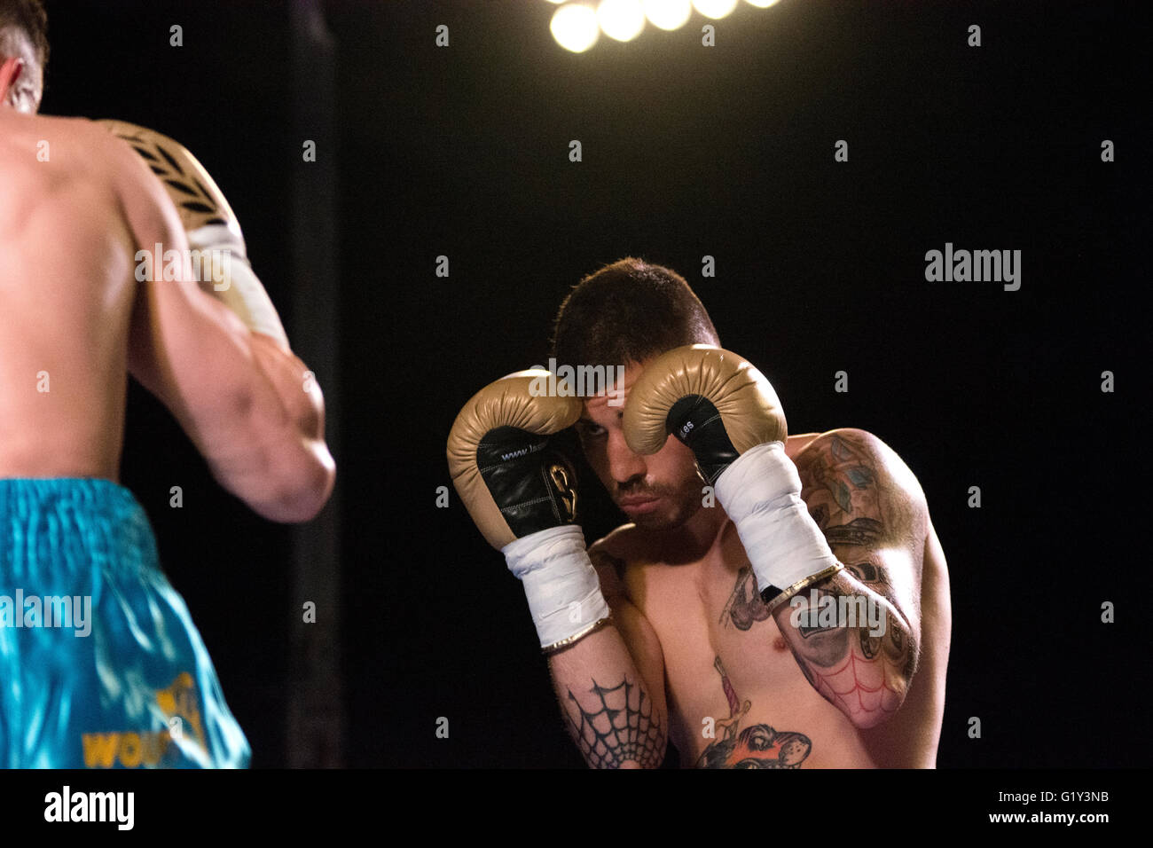 Gijon, Spain. 21st May, 2016. Marc Vidal during the boxing match against Juancho Gonzalez of Spanish national featherweight boxing championships at Sports Center on May 21, 2016 in Gijon, Spain. Credit: David Gato/Alamy Live News Stock Photo