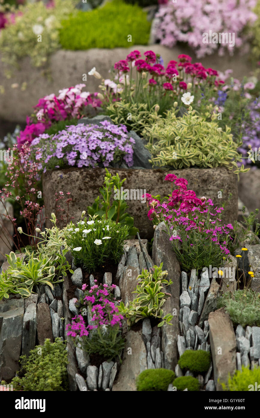 London, UK. 21 May 2016. Preparations are under way for the show gardens and the floral displays at the RHS Chelsea Flower Show. The 2016 Chelsea Flower Show opens to the public on Tuesday, 24 May 2016. Credit:  Vibrant Pictures/Alamy Live News Stock Photo