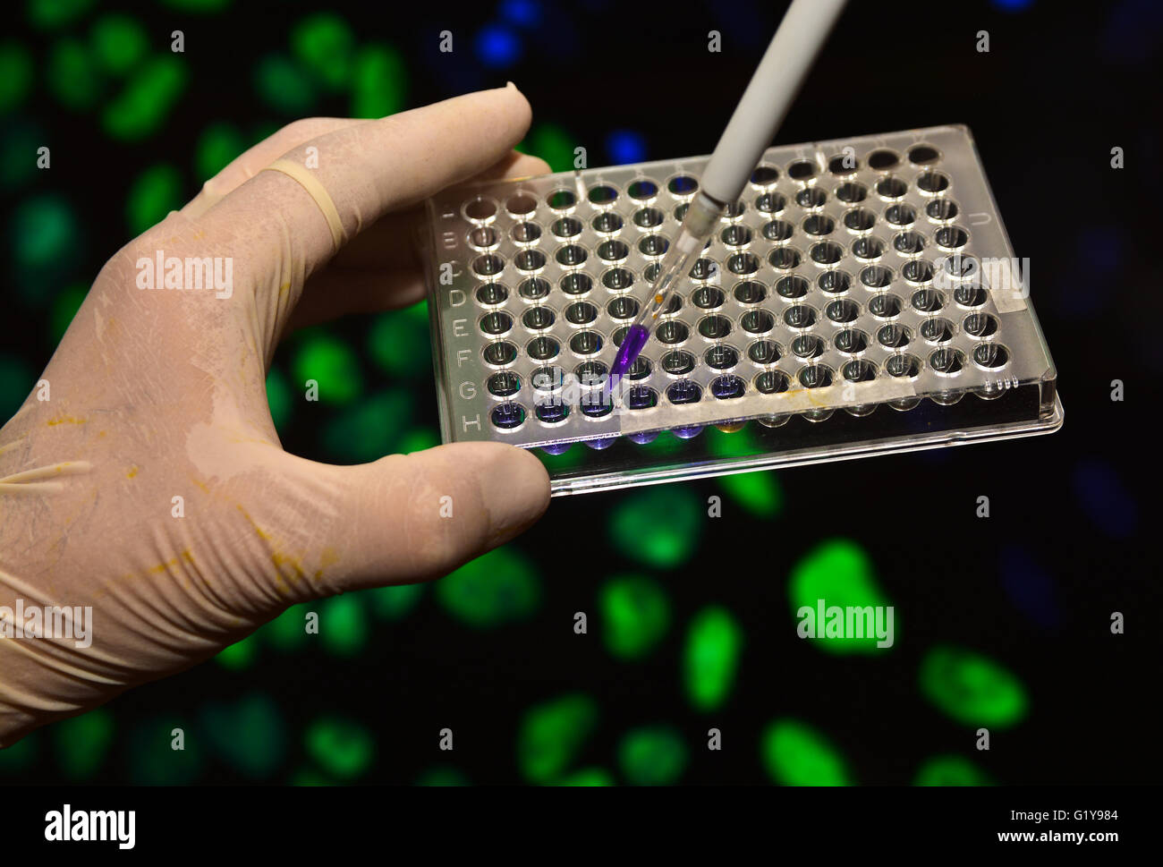 DNA testing in laboratories. Biological scientific equipment