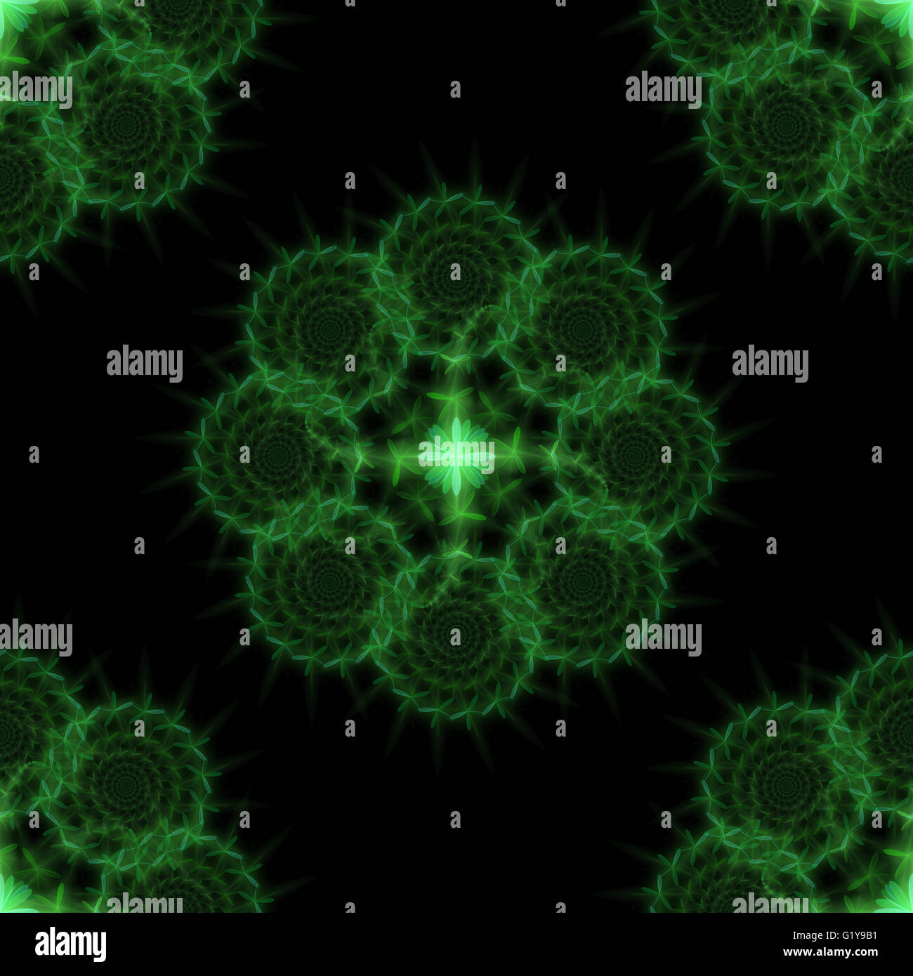 Beautiful green fractal rosette on black background Stock Photo