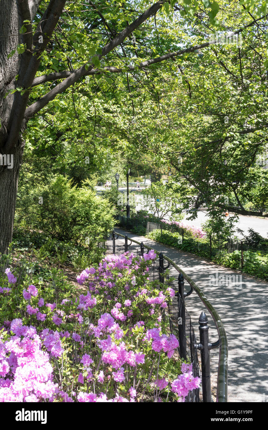 Springtime In New York Central Park in Springtime, NYC, USA Stock Photo - Alamy