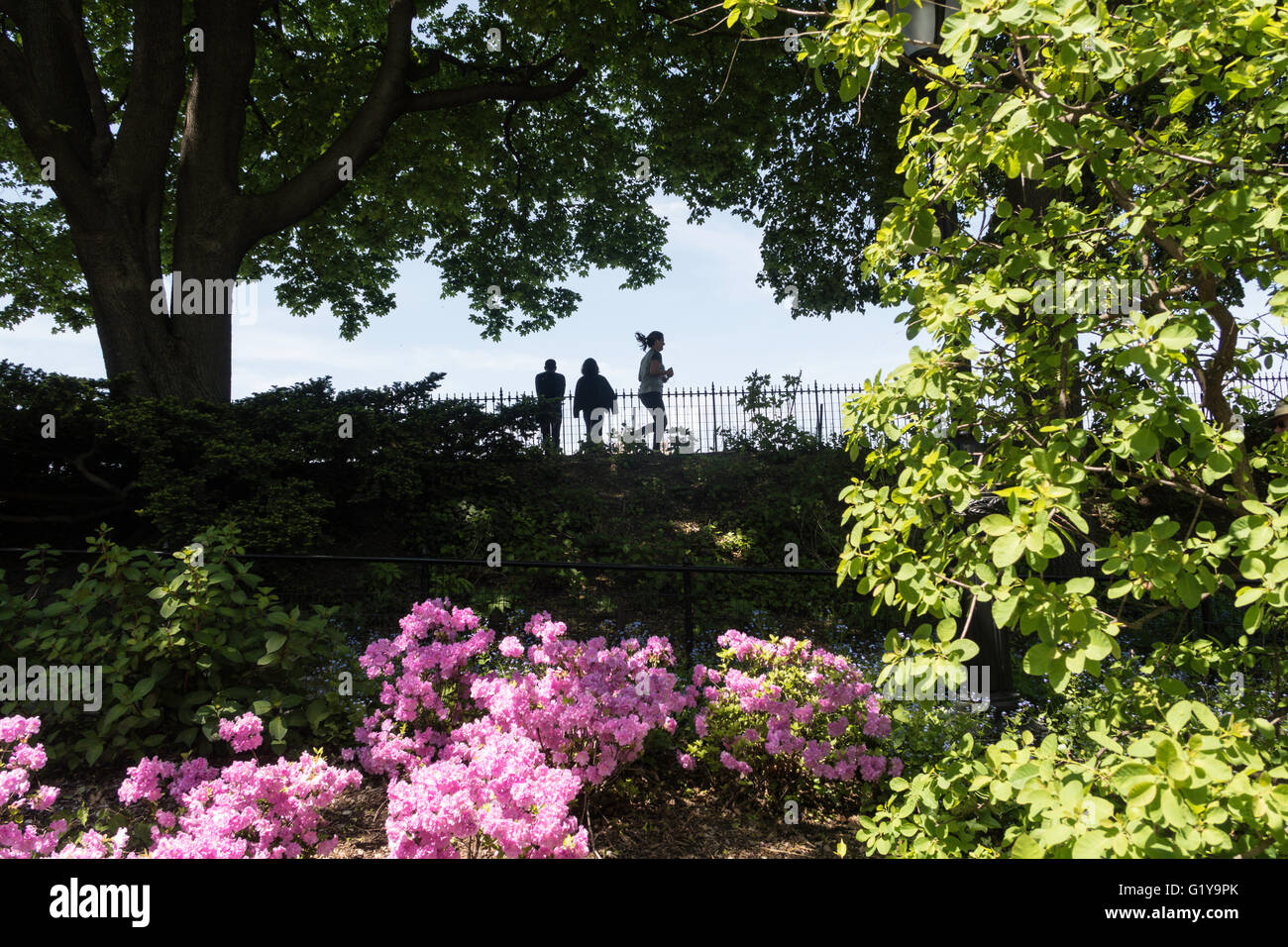 Runners on The Reservoir Jogging Path, Central Park, NYC, USA Stock Photo