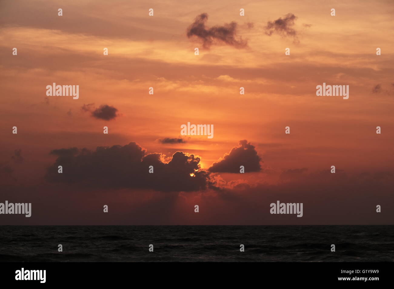 Good Morning In The Morning The Beauty Of Nature Stock Photo