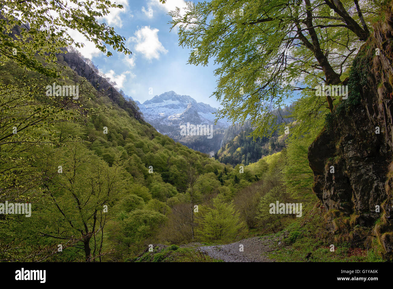 Ariege national park hi-res stock photography and images - Alamy