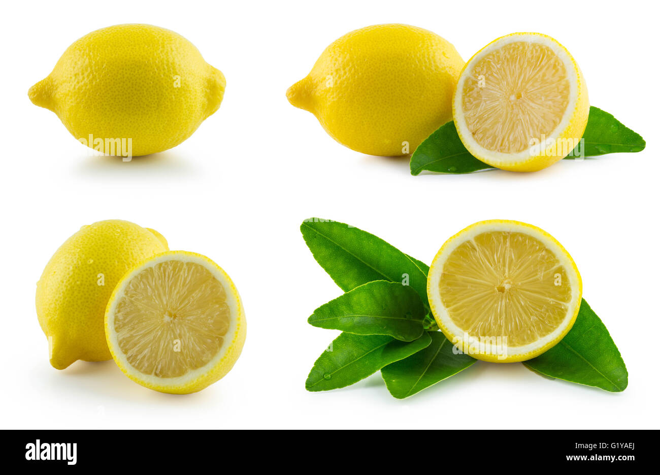 Set of Lemon and leaf on white background Stock Photo - Alamy