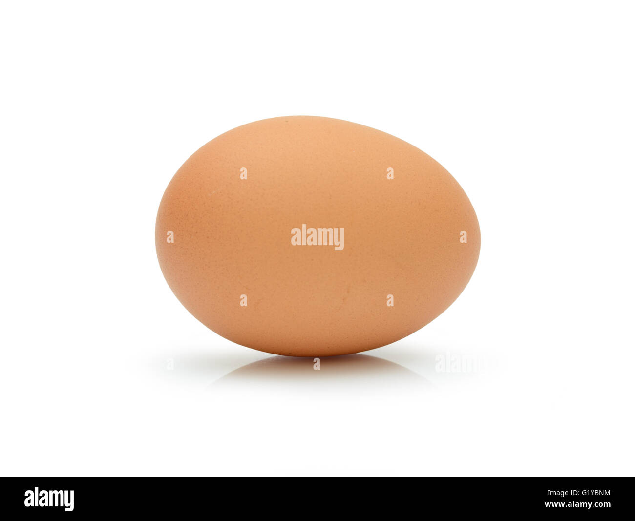Single brown chicken egg isolated on white background Stock Photo - Alamy
