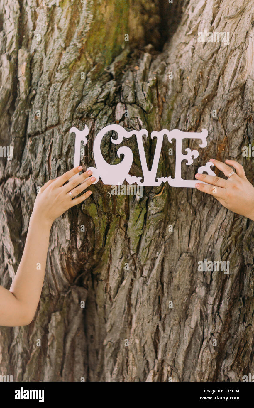 Vintage wooden inscription Love and hands of just married couple, tree on background Stock Photo