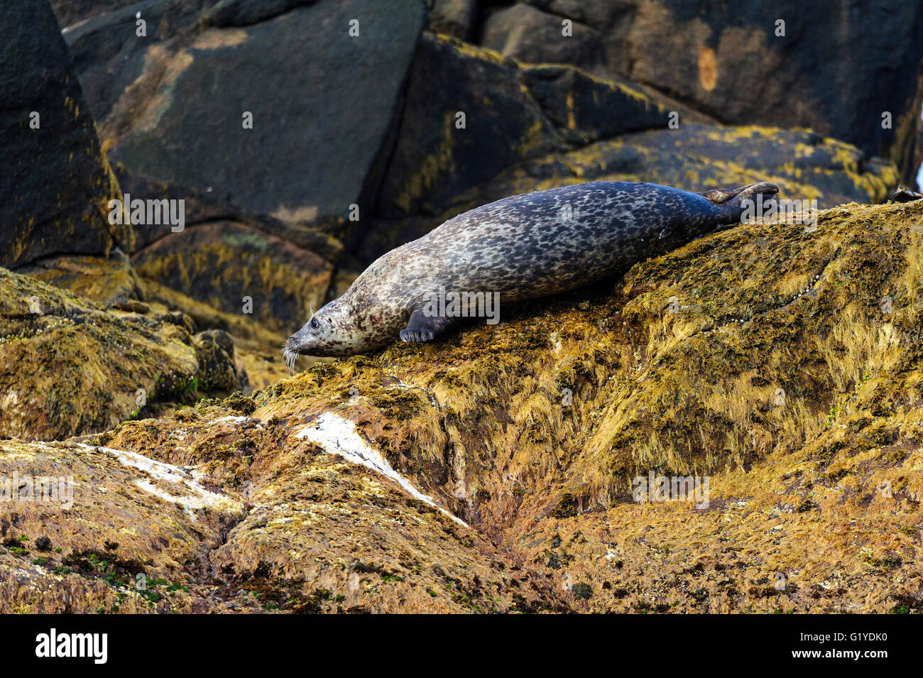 Stø norway hi-res stock photography and images - Alamy
